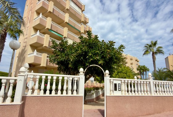 Venta - Apartamento / Piso -
Guardamar del Segura - Urbanizaciones