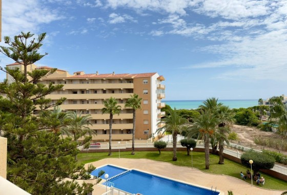 Venta - Apartamento / Piso -
Guardamar del Segura - Urbanizaciones