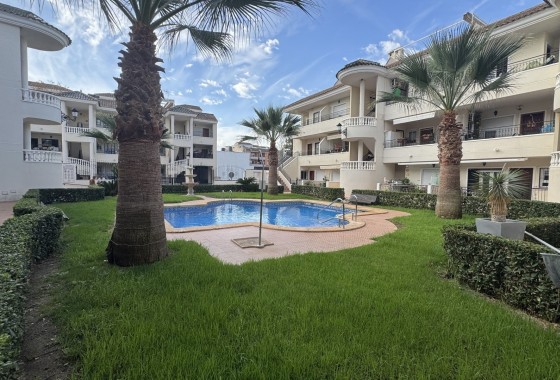 Sprzedaż - Apartament / Mieszkanie -
Jacarilla