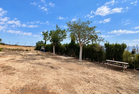Sprzedaż - Finca / Dom wiejski -
La Marina - La Marina - Country