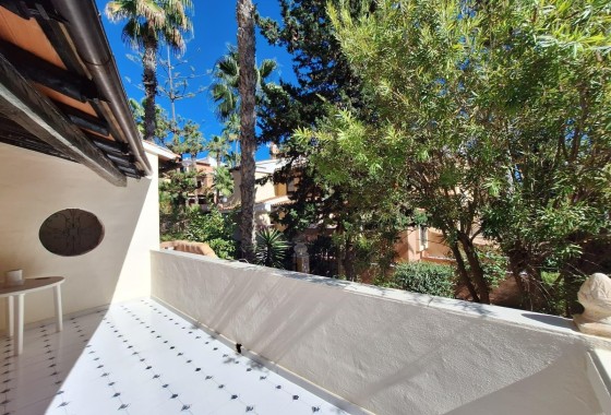Venta - Apartamento / Piso -
Torrevieja