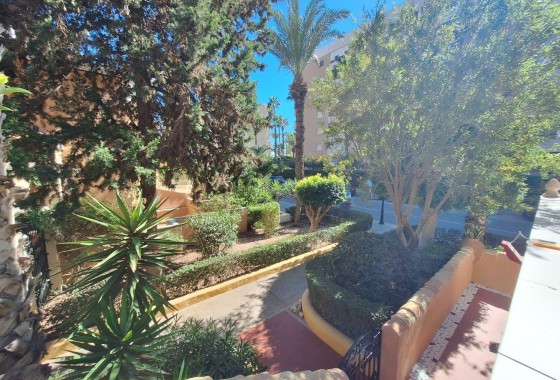 Venta - Apartamento / Piso -
Torrevieja