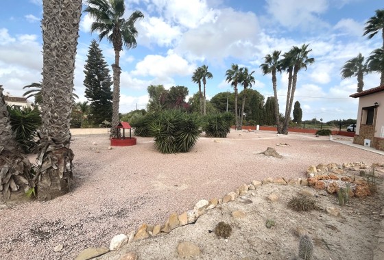 Wiederverkauf - Freistehende Villa -
Daya Vieja