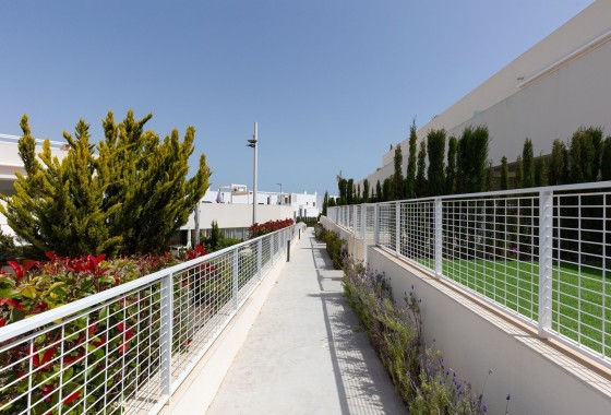 Sprzedaż - Apartament / Mieszkanie -
Torrevieja