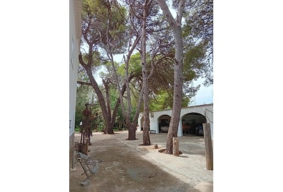 Revente - Appartement -
El Verger - El Vergel