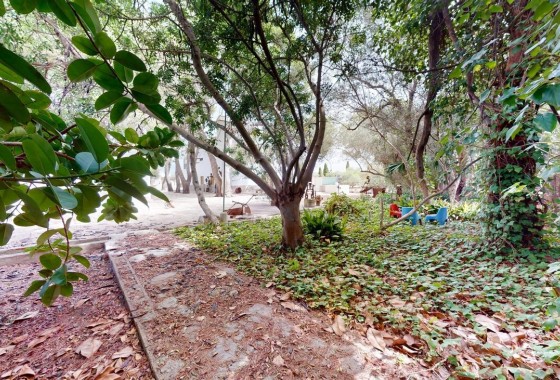 Revente - Appartement -
El Verger - El Vergel