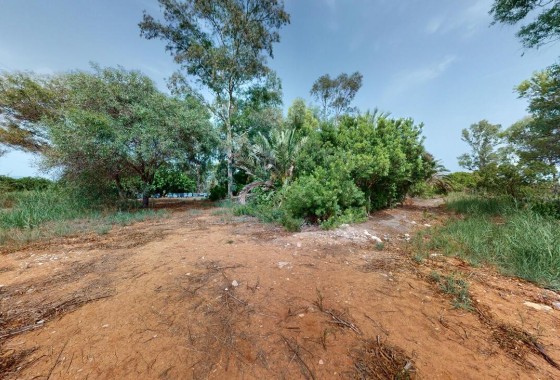 Revente - Appartement -
El Verger - El Vergel