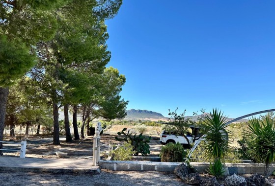 Venta - Chalet Independiente -
Yecla