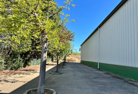 Venta - Chalet Independiente -
Yecla