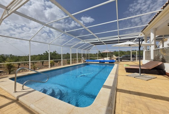 Venta - Chalet Independiente -
Pinoso