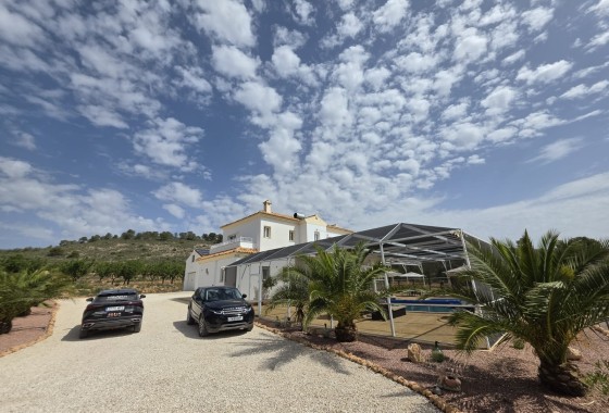 Venta - Chalet Independiente -
Pinoso