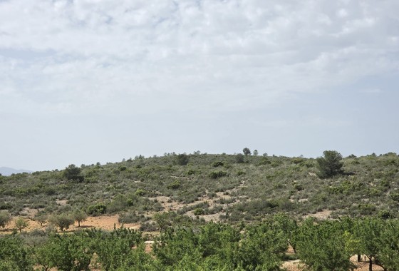 Venta - Chalet Independiente -
Pinoso