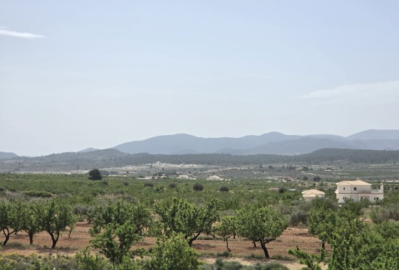 Venta - Chalet Independiente -
Pinoso