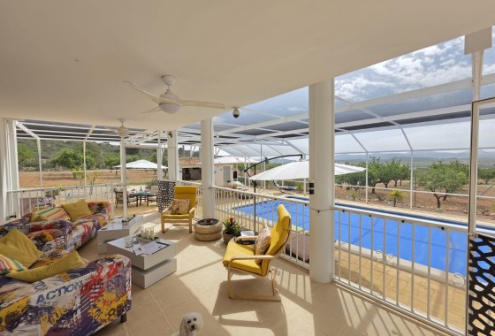 Venta - Chalet Independiente -
Pinoso