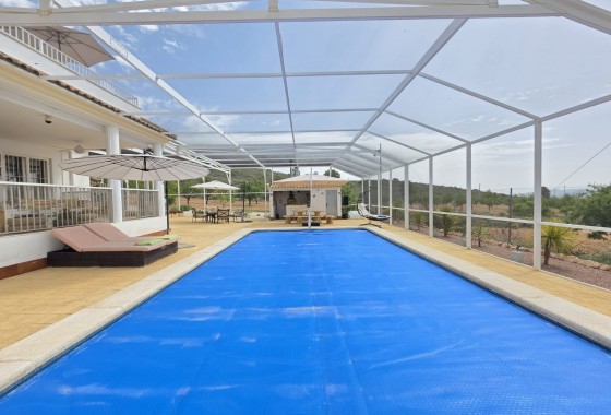 Venta - Chalet Independiente -
Pinoso