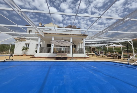 Venta - Chalet Independiente -
Pinoso