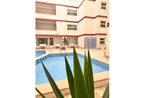 Venta - Apartamento / Piso -
Torrevieja