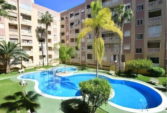 Revente - Appartement -
Torrevieja - Parque de las Naciones