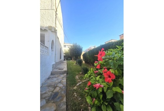 Herverkoop - Appartement / Flat -
Torrevieja