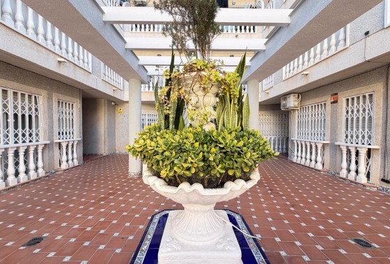 Herverkoop - Appartement / Flat -
Torrevieja - Playa de los Locos