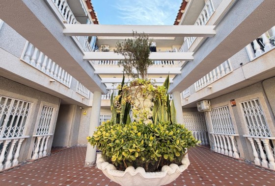 Herverkoop - Appartement / Flat -
Torrevieja - Playa de los Locos