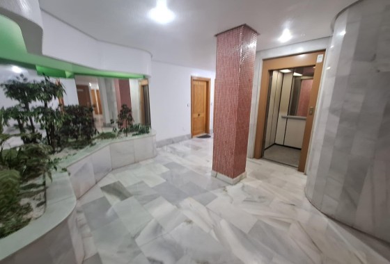 Herverkoop - Appartement / Flat -
Torrevieja - Playa de los Locos