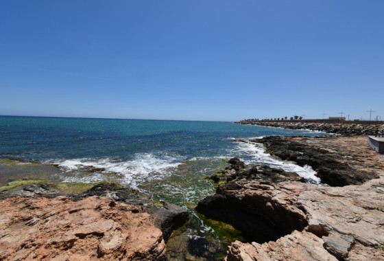 Herverkoop -  -
Torrevieja - Lago jardin
