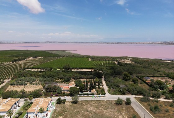 Herverkoop -  -
Torrevieja - Lago jardin