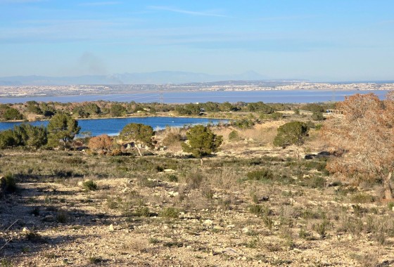 Sprzedaż - Apartament / Mieszkanie -
Orihuela Costa