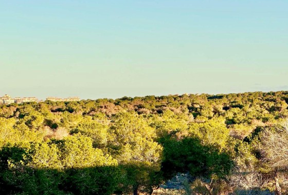Venta - Adosado -
Torrevieja