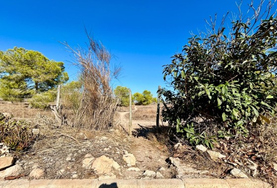 Venta - Adosado -
Torrevieja