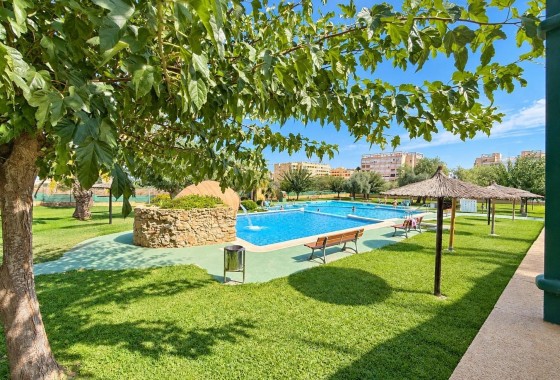 Herverkoop - Appartement / Flat -
Torrevieja - Torreblanca