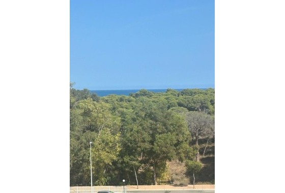 Resale - Apartment / Flat -
Guardamar del Segura