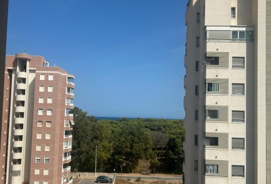 Resale - Apartment / Flat -
Guardamar del Segura