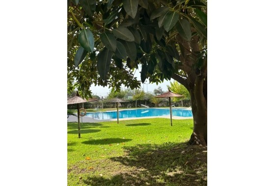 Resale - Apartment / Flat -
Guardamar del Segura