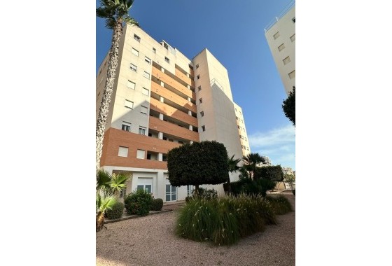 Resale - Apartment / Flat -
Guardamar del Segura