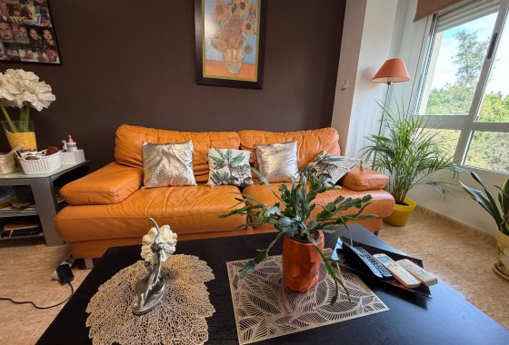 Sprzedaż - Apartament / Mieszkanie -
Pilar de la Horadada