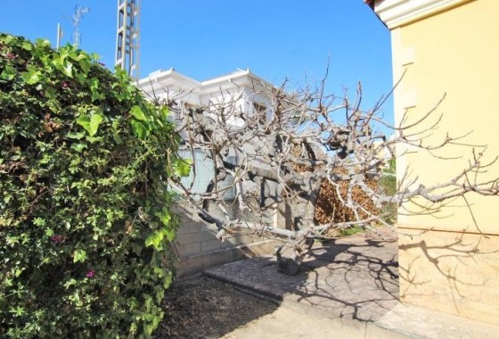 Resale - Detached Villa -
Elche - Altabix