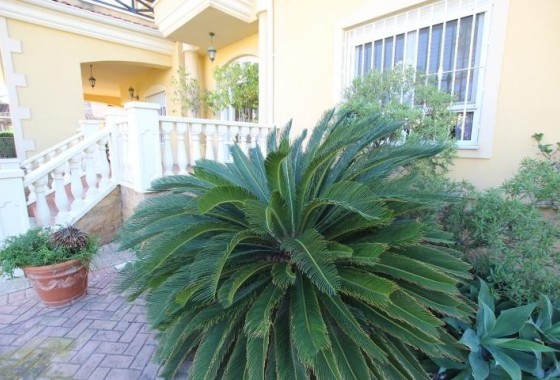Resale - Detached Villa -
Elche - Altabix