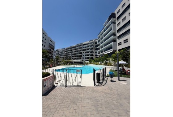 Sprzedaż - Apartament / Mieszkanie -
Dehesa de Campoamor - Campoamor