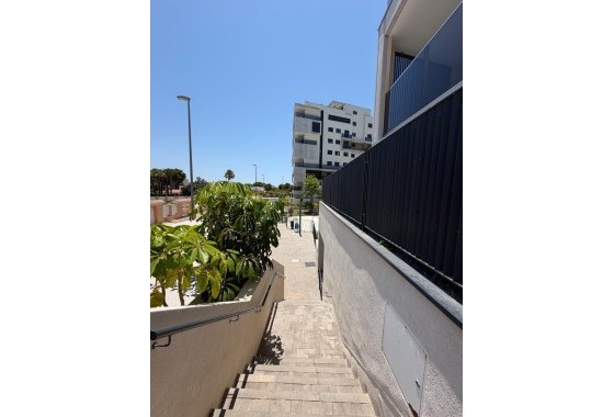 Sprzedaż - Apartament / Mieszkanie -
Dehesa de Campoamor - Campoamor