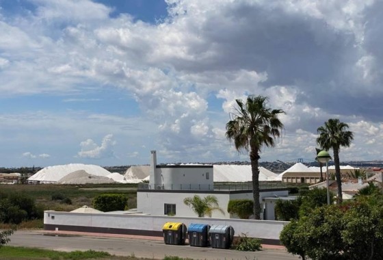 Sprzedaż - Willa wolnostojąca -
Torrevieja - Torreta florida
