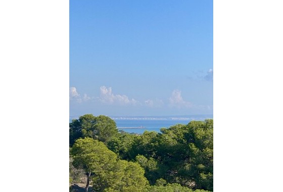 Obra Nueva - Apartamento / Piso -
Guardamar del Segura