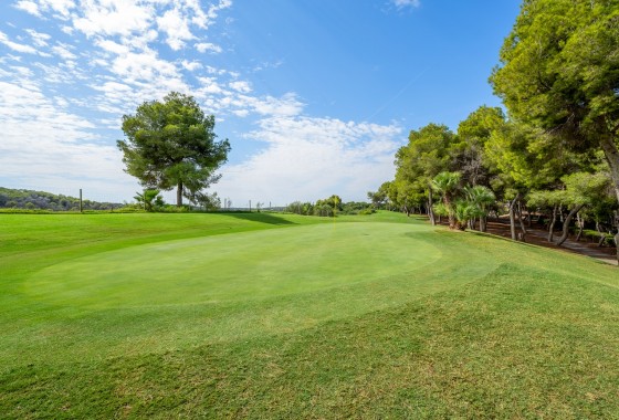 Wiederverkauf - Wohnung / Apartment -
Dehesa de Campoamor - Campoamor
