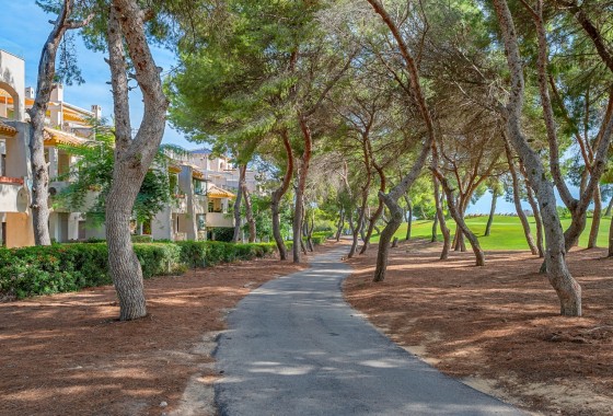 Wiederverkauf - Wohnung / Apartment -
Dehesa de Campoamor - Campoamor