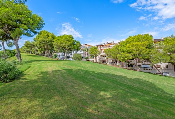 Wiederverkauf - Wohnung / Apartment -
Dehesa de Campoamor - Campoamor