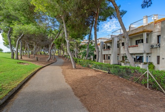 Wiederverkauf - Wohnung / Apartment -
Dehesa de Campoamor - Campoamor