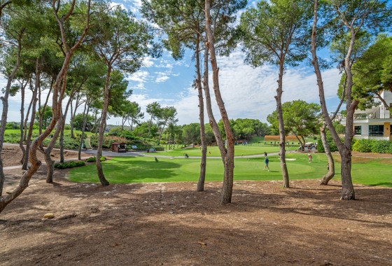 Wiederverkauf - Wohnung / Apartment -
Dehesa de Campoamor - Campoamor