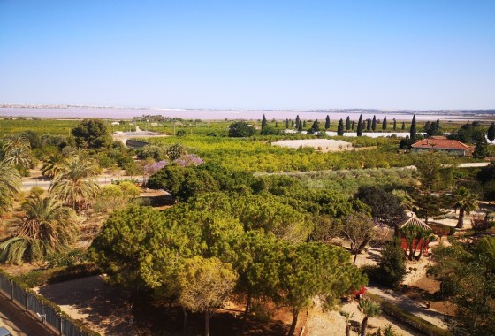 Revente - Appartement -
Los Montesinos