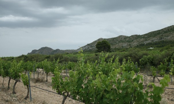 New Build - Detached Villa -
Yecla